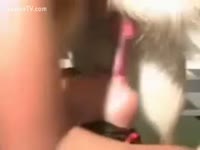 [ Zoo Sex Tube ] Kinky alt whore sucks on dogs ramrod with large facial